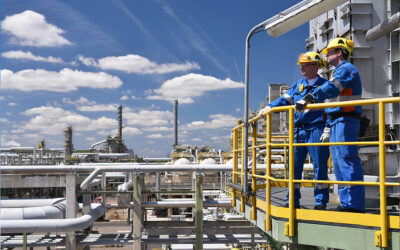 Ocelot Energy Management